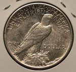 1921 P Peace Dollar in Mint State 63+